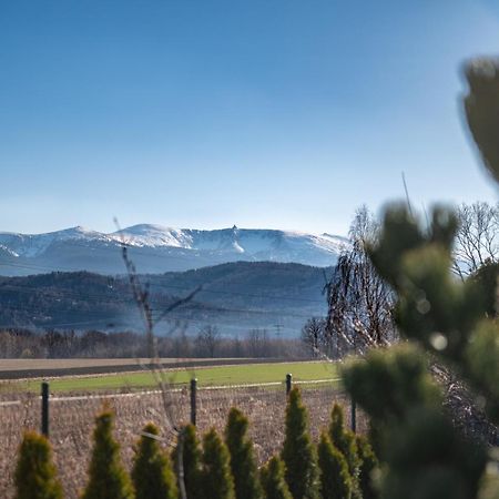 Domki W Karkonoszach Szmaragdowy Widok Wojcieszyce Luaran gambar